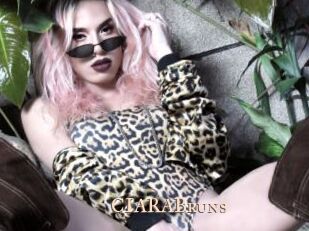 CIARABruns