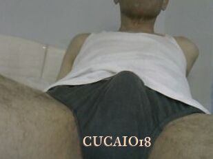 CUCAIO18