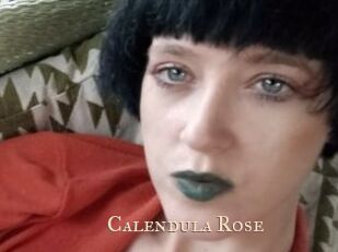 Calendula_Rose