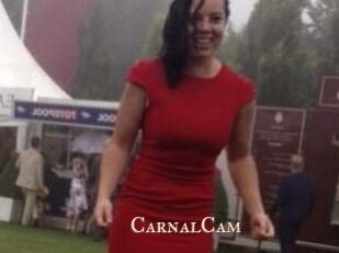 CarnalCam