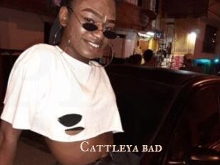 Cattleya_bad