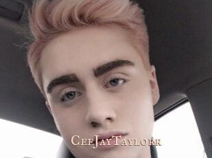 CeeJayTaylorr
