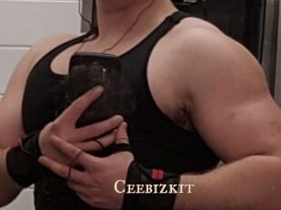 Ceebizkit