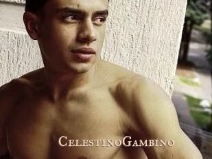 CelestinoGambino
