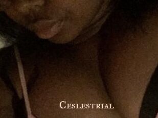 Ceslestrial