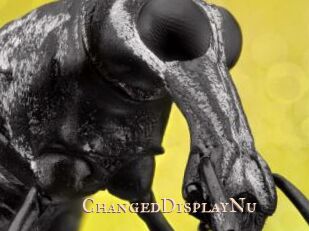 ChangedDisplayNu
