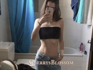 CherrysBlossom