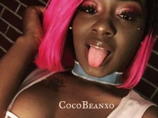 CocoBeanxo