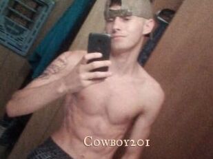 Cowboy201