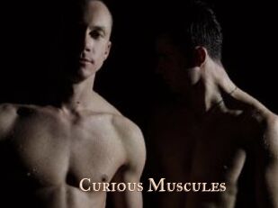 Curious_Muscules