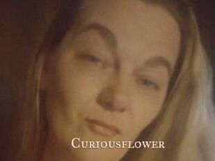 Curiousflower