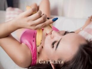 _Cattleya