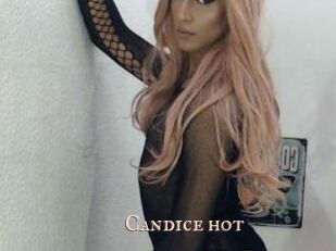 Candice_hot