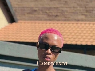 Candicex01
