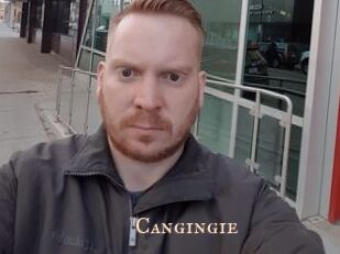 Cangingie