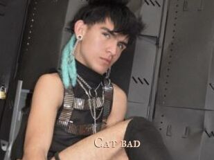 Cat_bad