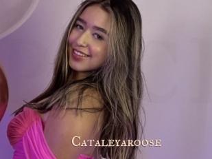Cataleyaroose