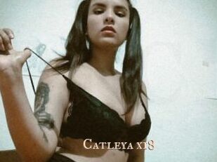 Catleya_x18
