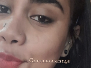 Cattleyasexy4u