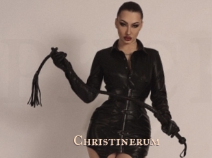christinerum Pink Center Fold