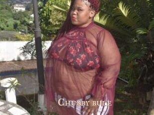 Chubby_bule