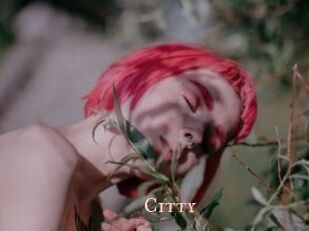 Citty