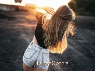DaisyColle