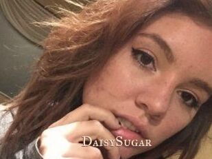 Daisy_Sugar