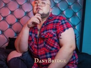 DanyBridge