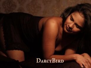 DarcyBird