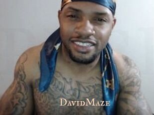 David_Maze