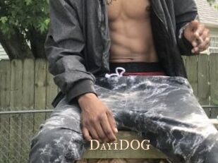 Day1DOG
