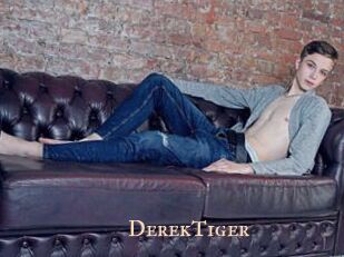 DerekTiger