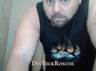 DigBickRoscoe