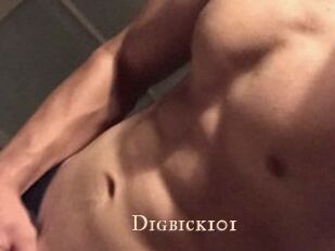 Digbick101