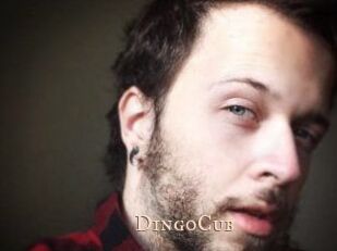 DingoCub