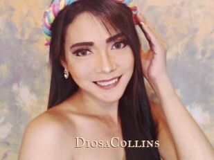 DiosaCollins