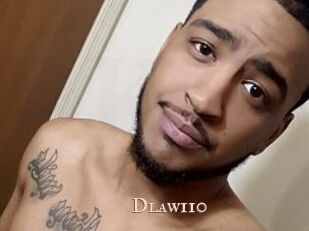 Dlaw110