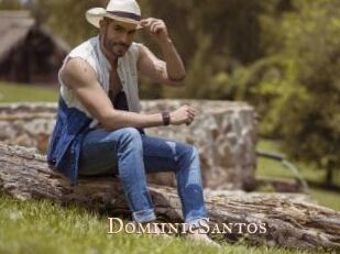 DomiinicSantos