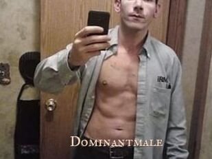 Dominantmale