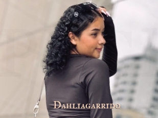 Dahliagarrido
