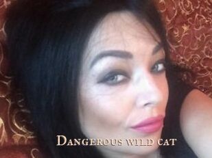 Dangerous_wild_cat