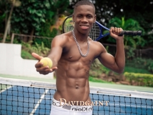 Davidgaint