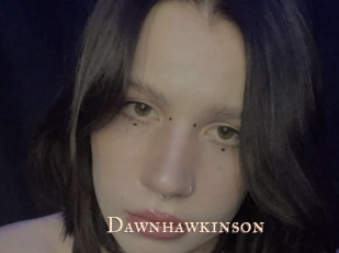 Dawnhawkinson