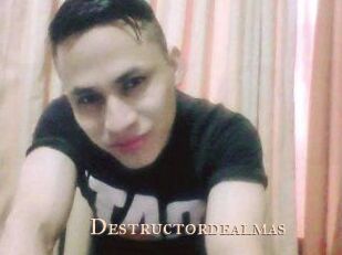 Destructordealmas