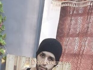 Dominique_fox