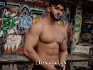 Donmerlin