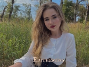 Editheming