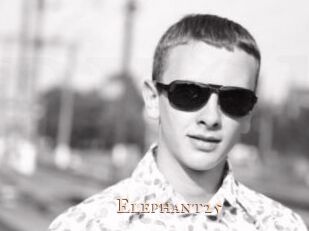 Elephant25