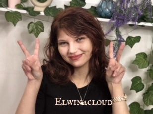 Elwinacloud